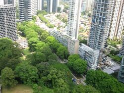 The Orchard Residences (D9), Apartment #580699971